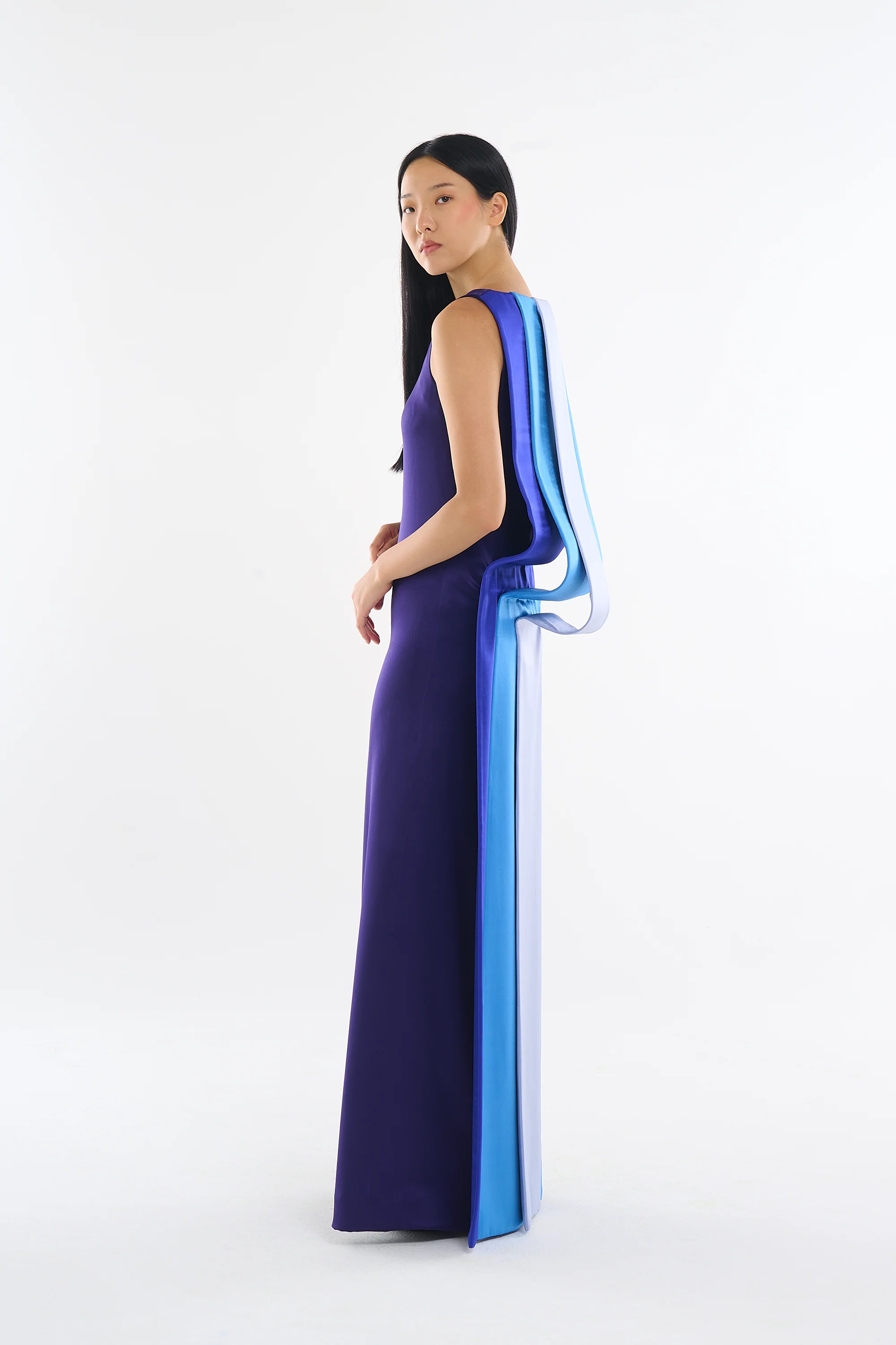 Ankaa Dress - Image 3